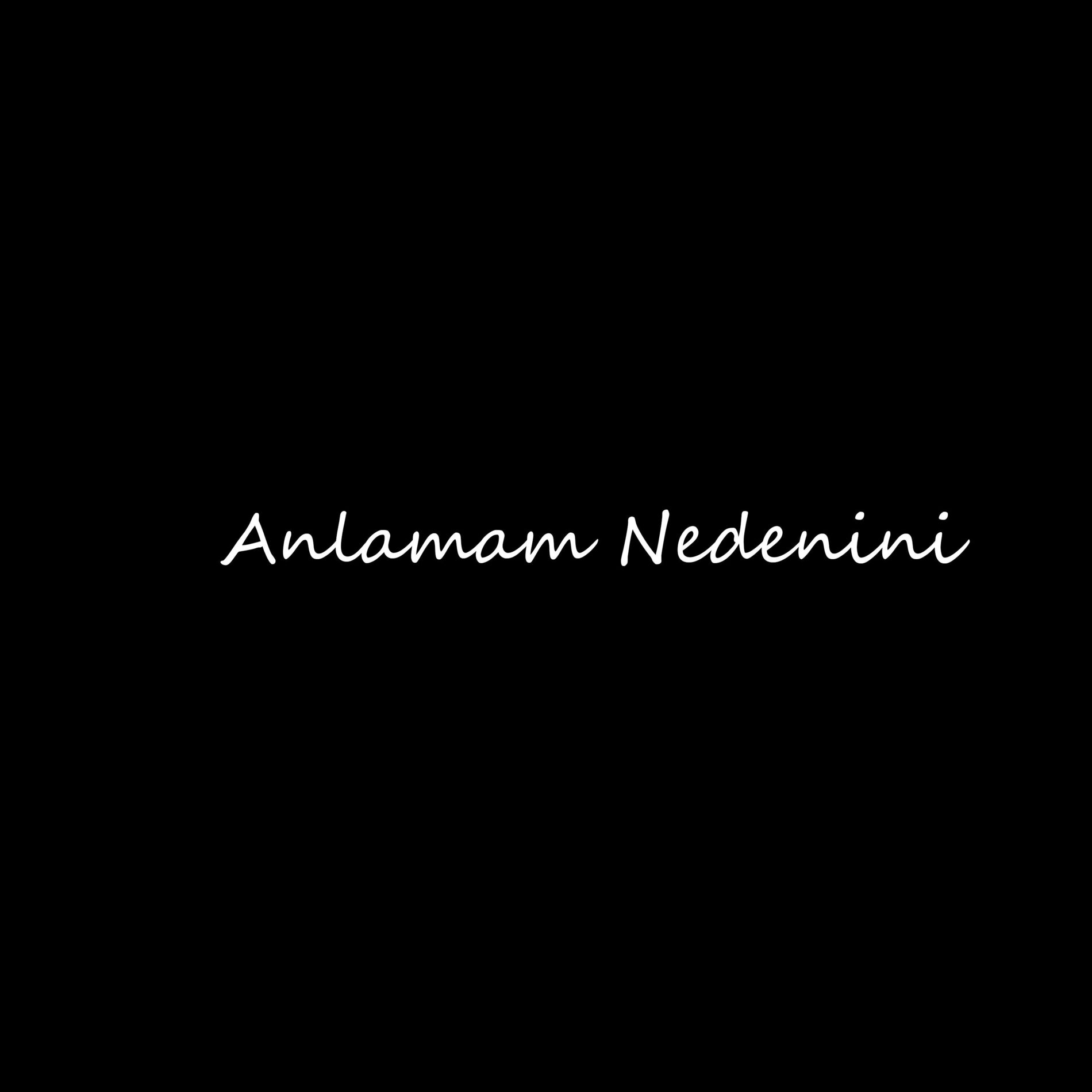 Album cover of Anlamam Nedenini