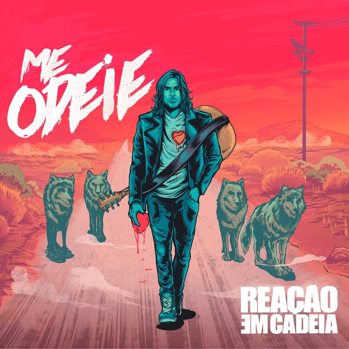 Album cover of Me Odeie