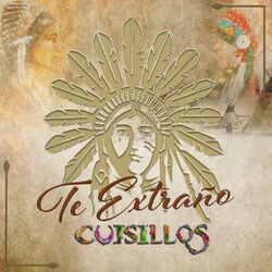 Cover of Te Extraño