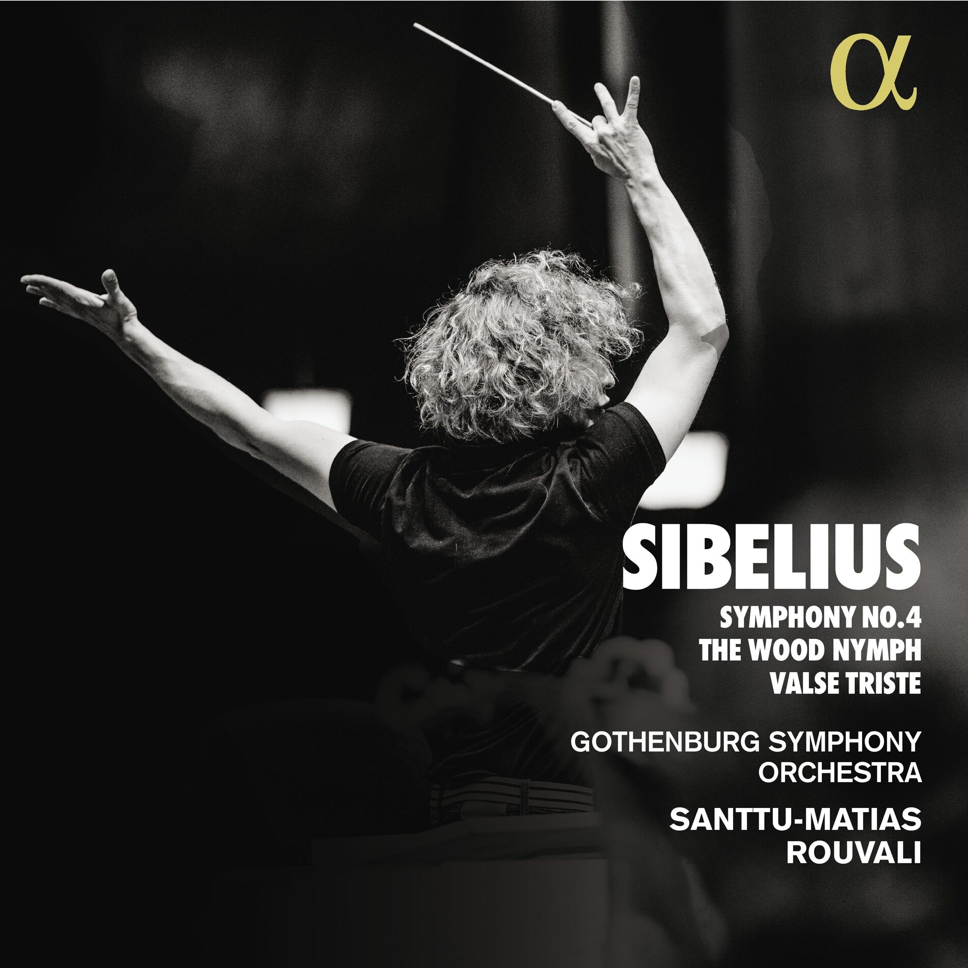 Album cover of Symphony No. 4 in A Minor, Op. 63: II. Allegro molto vivace