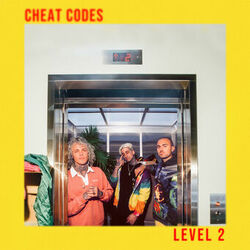 Cover of Level 2
