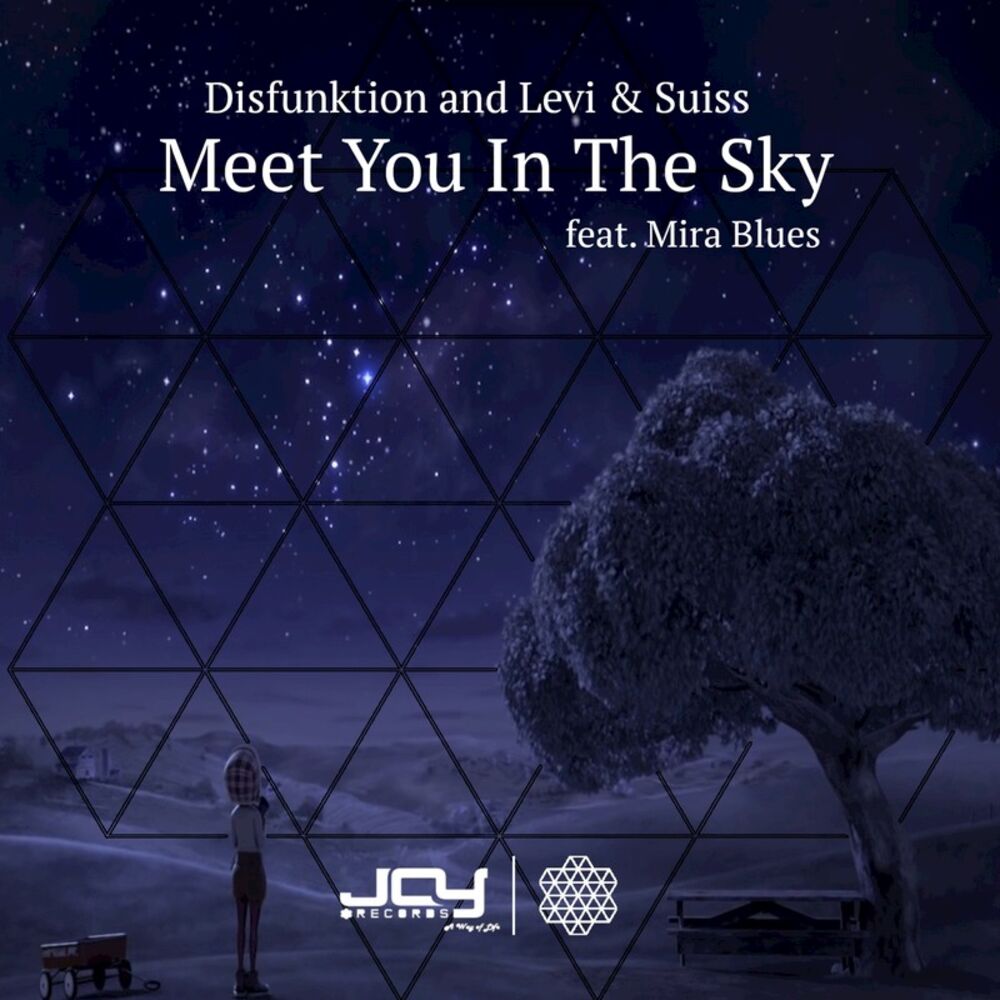 Picture of Meet You in the Sky