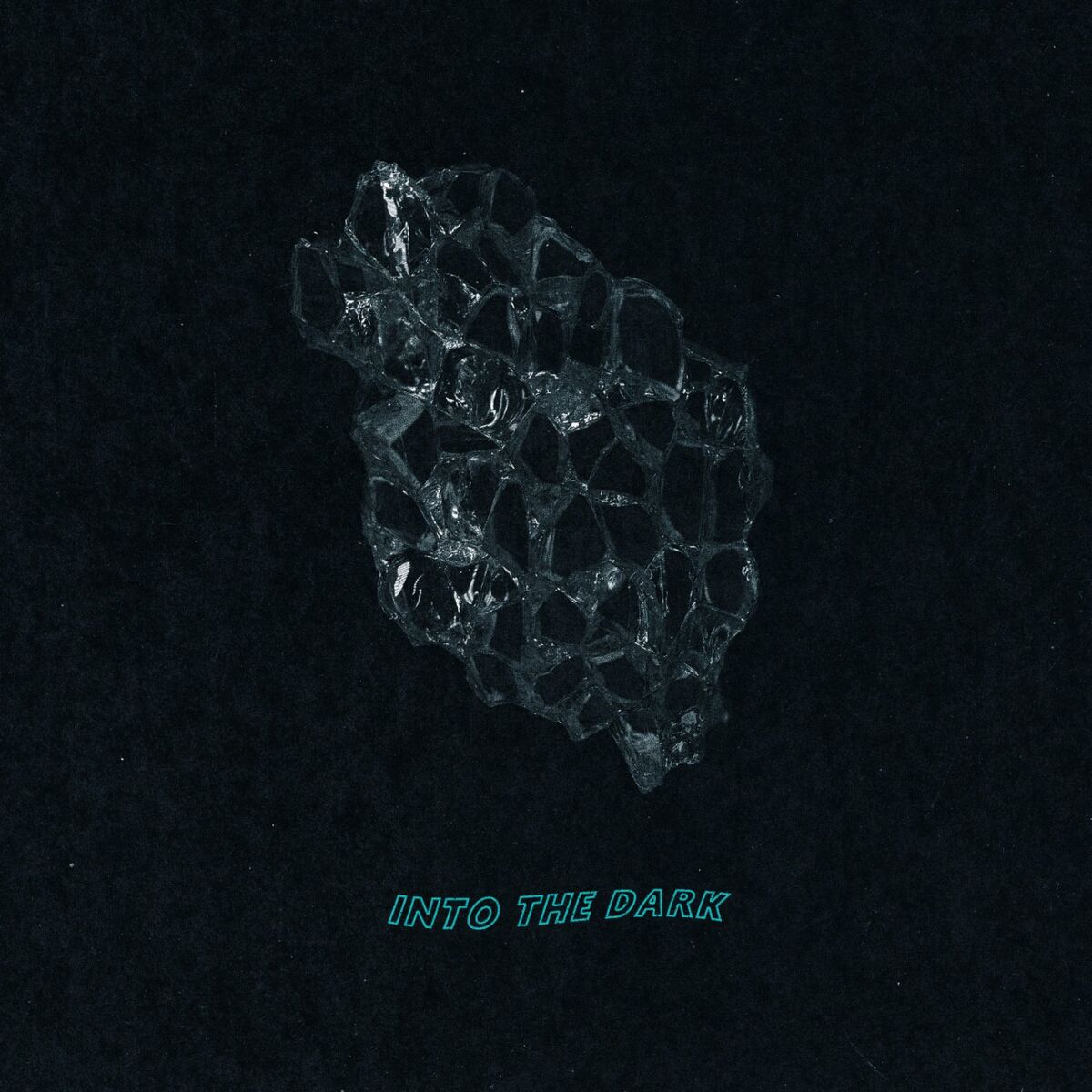 Album cover of Into The Dark