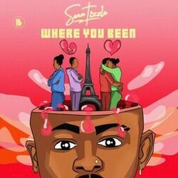 Cover of Where You Been