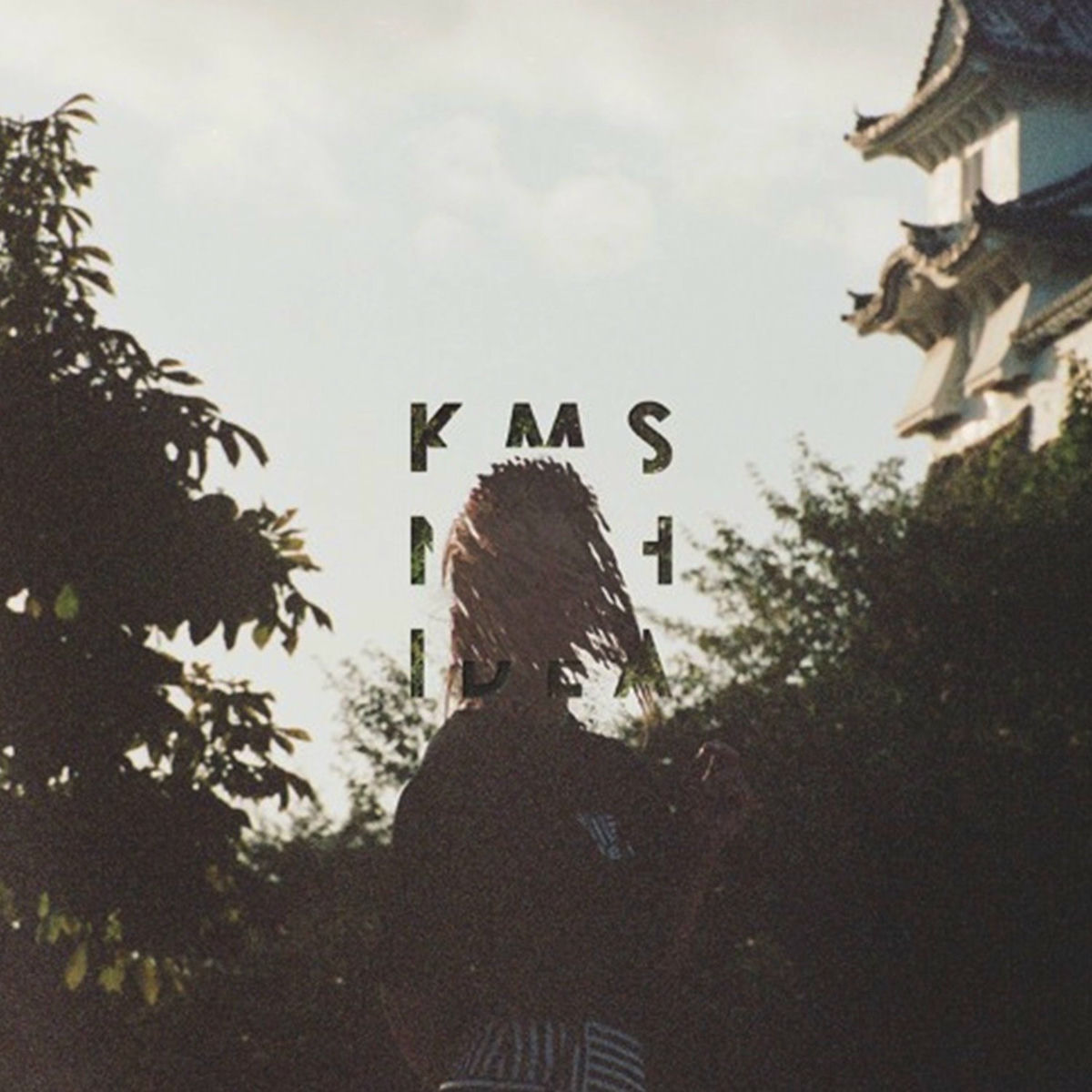 Album cover of and then, it swallowed me