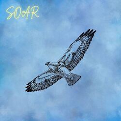 Cover of SOAR