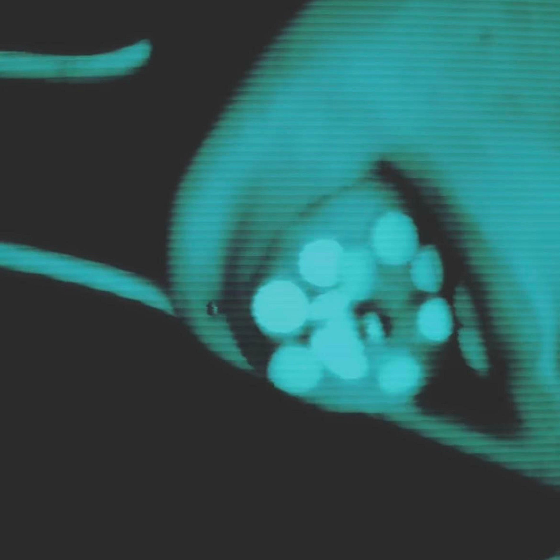 Album cover of j'ai tapé du pied en pleurant la nuit