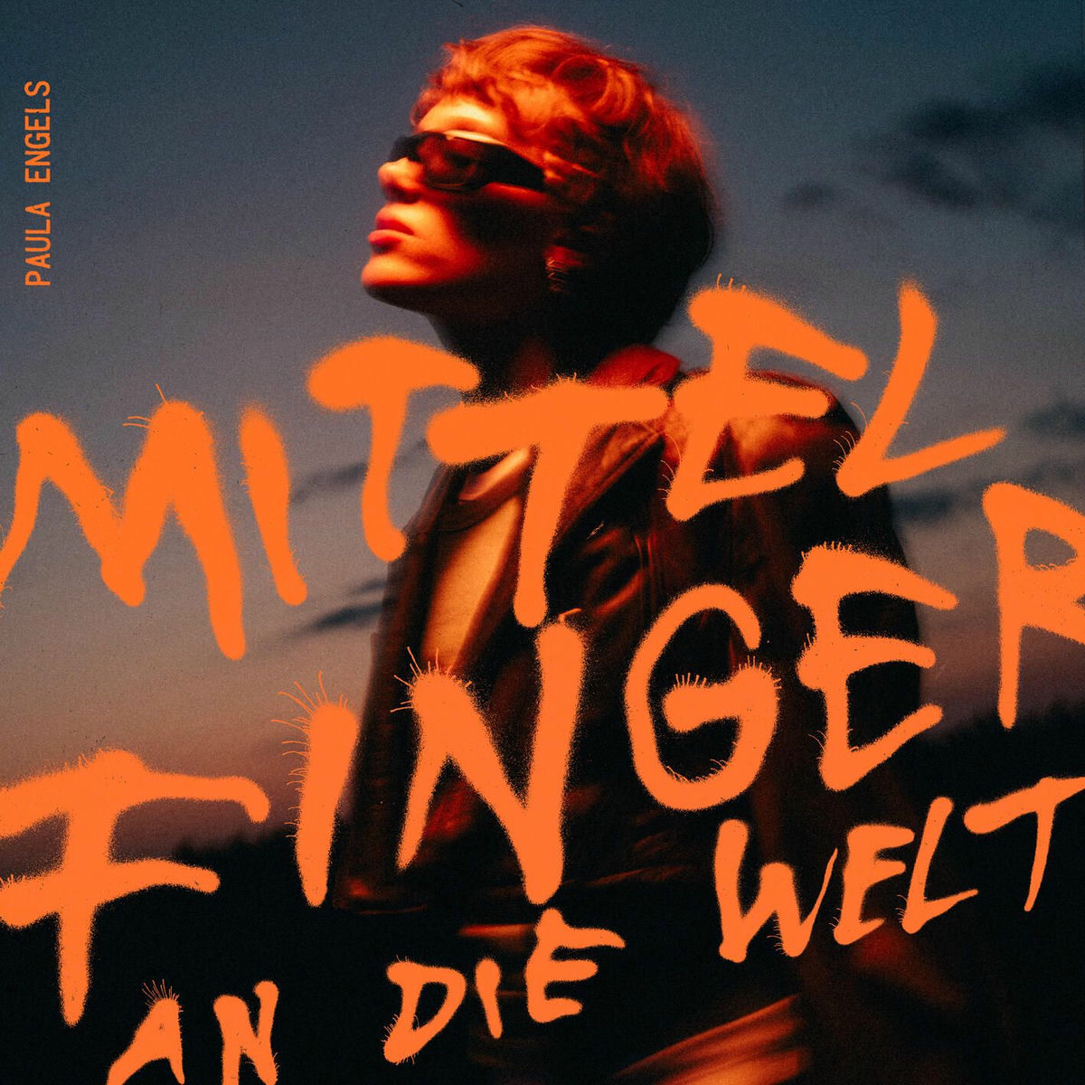 Album cover of Mittelfinger an die Welt