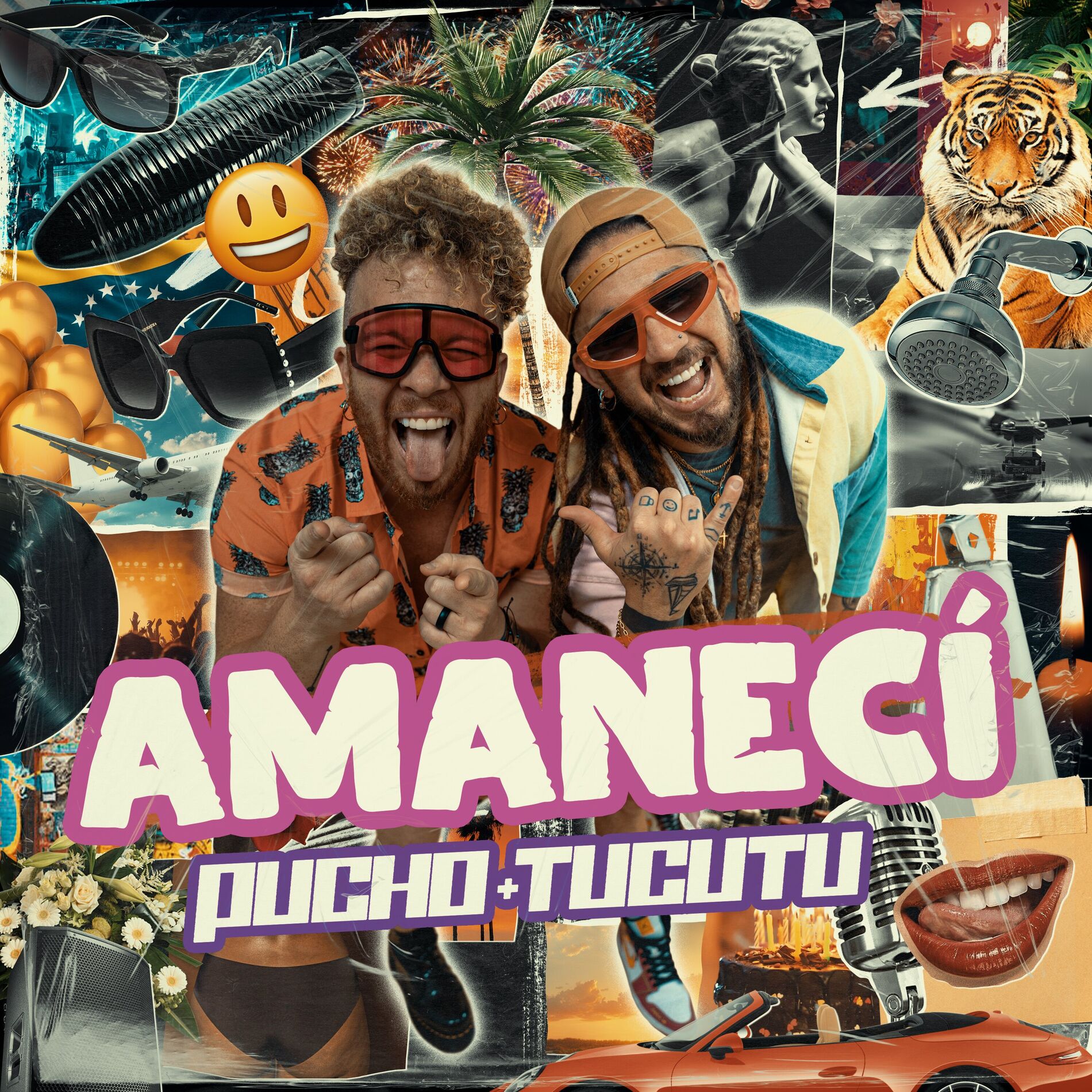 Album cover of AMANECÍ