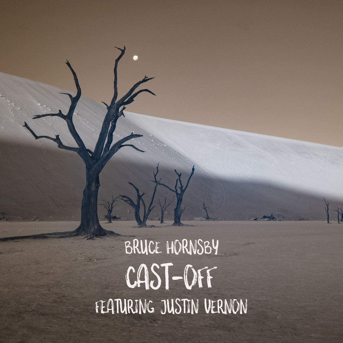 Album cover of Cast-Off (feat. Justin Vernon)