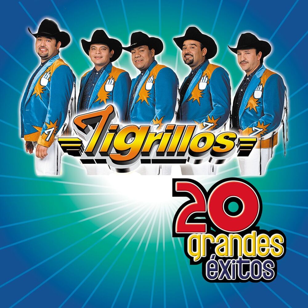 Picture of 20 Grandes Exitos (USA)