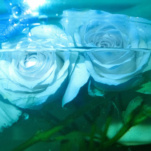 SEOULDAL – Lonesomeness – Single