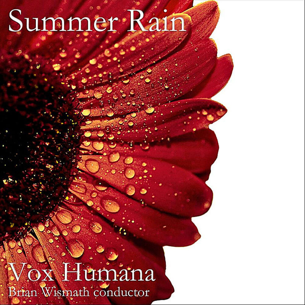 Picture of Summer Rain