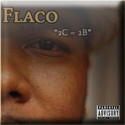 Cover of 2C = 2B