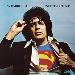 Cover of Indestructible