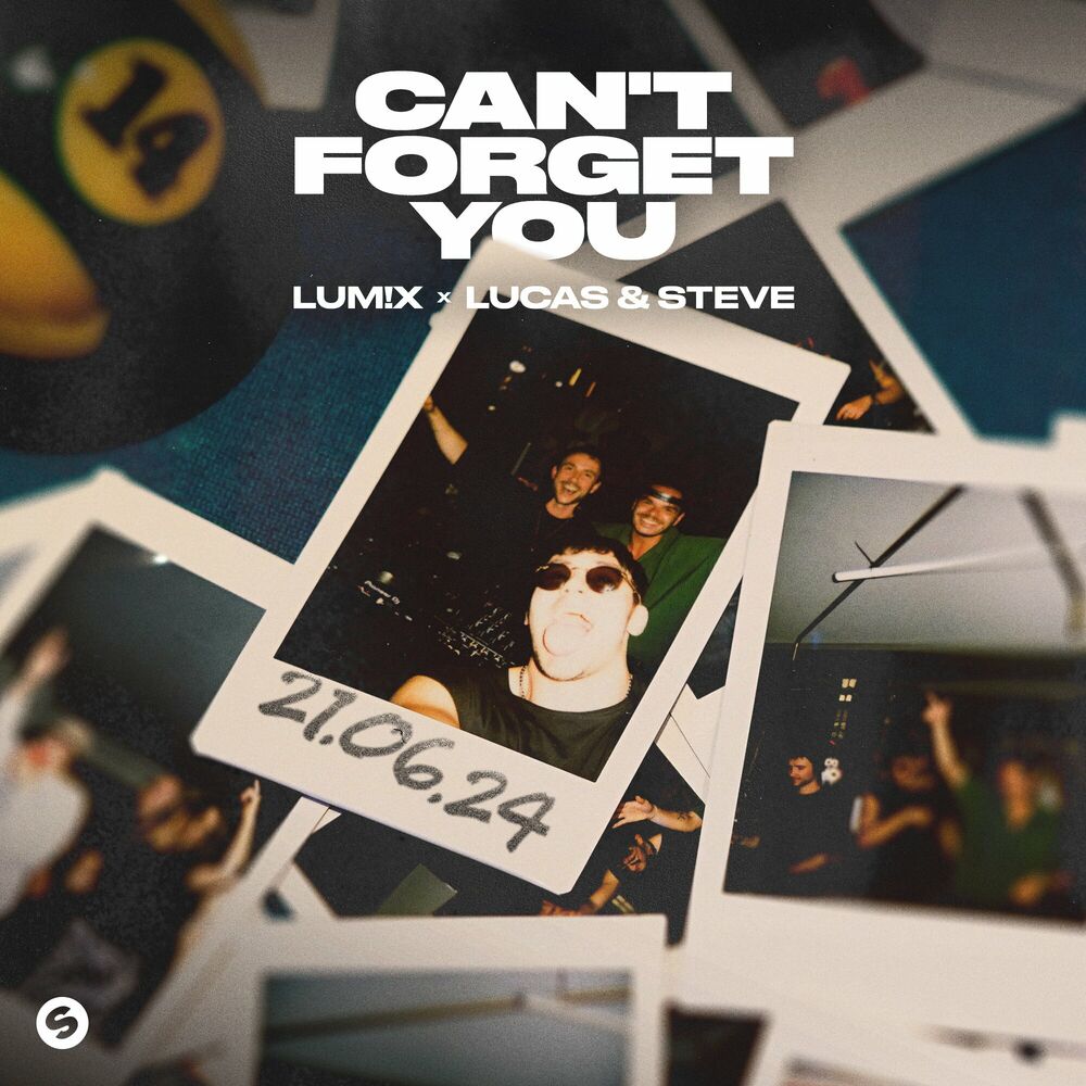Picture of Can't Forget You