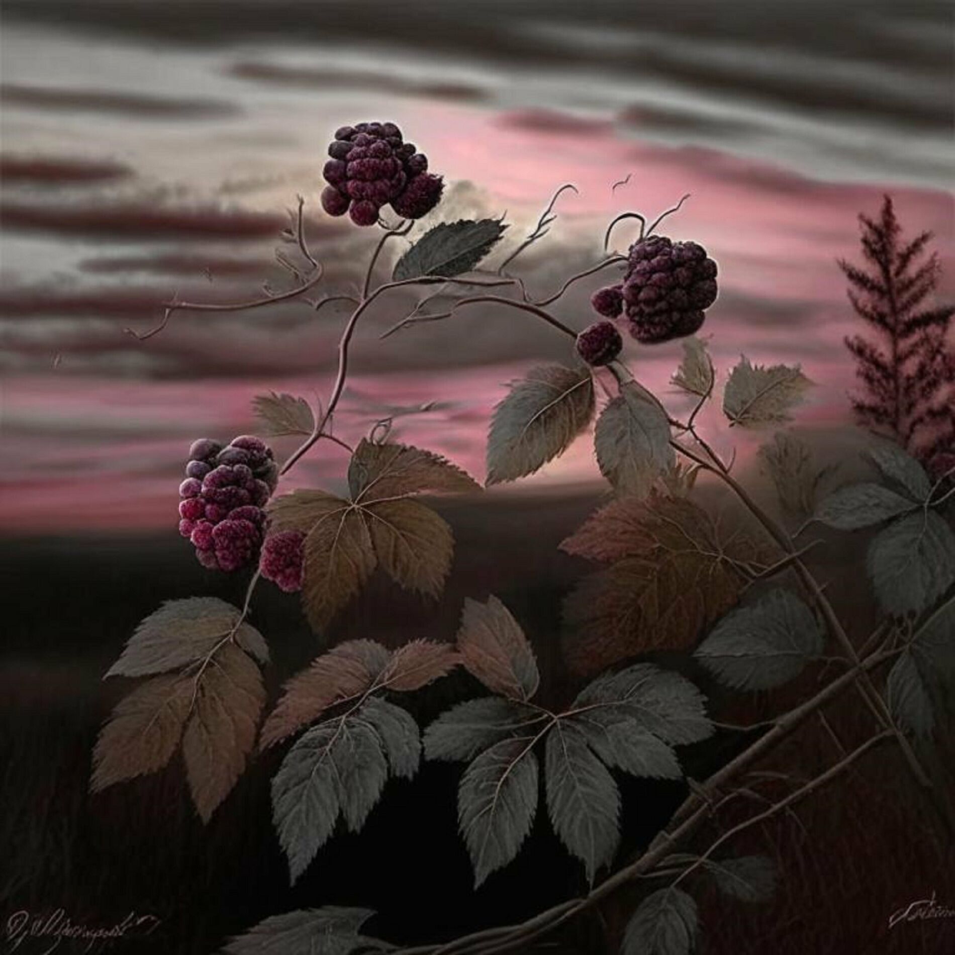 Album cover of Dark Morning