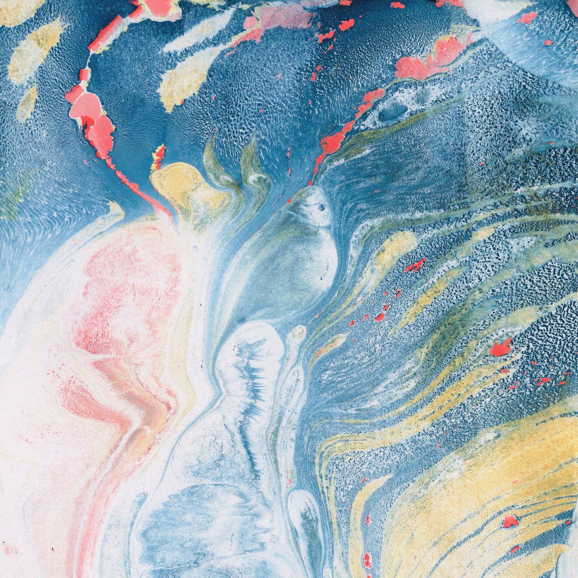 Album cover of The Seasons Are Not Four
