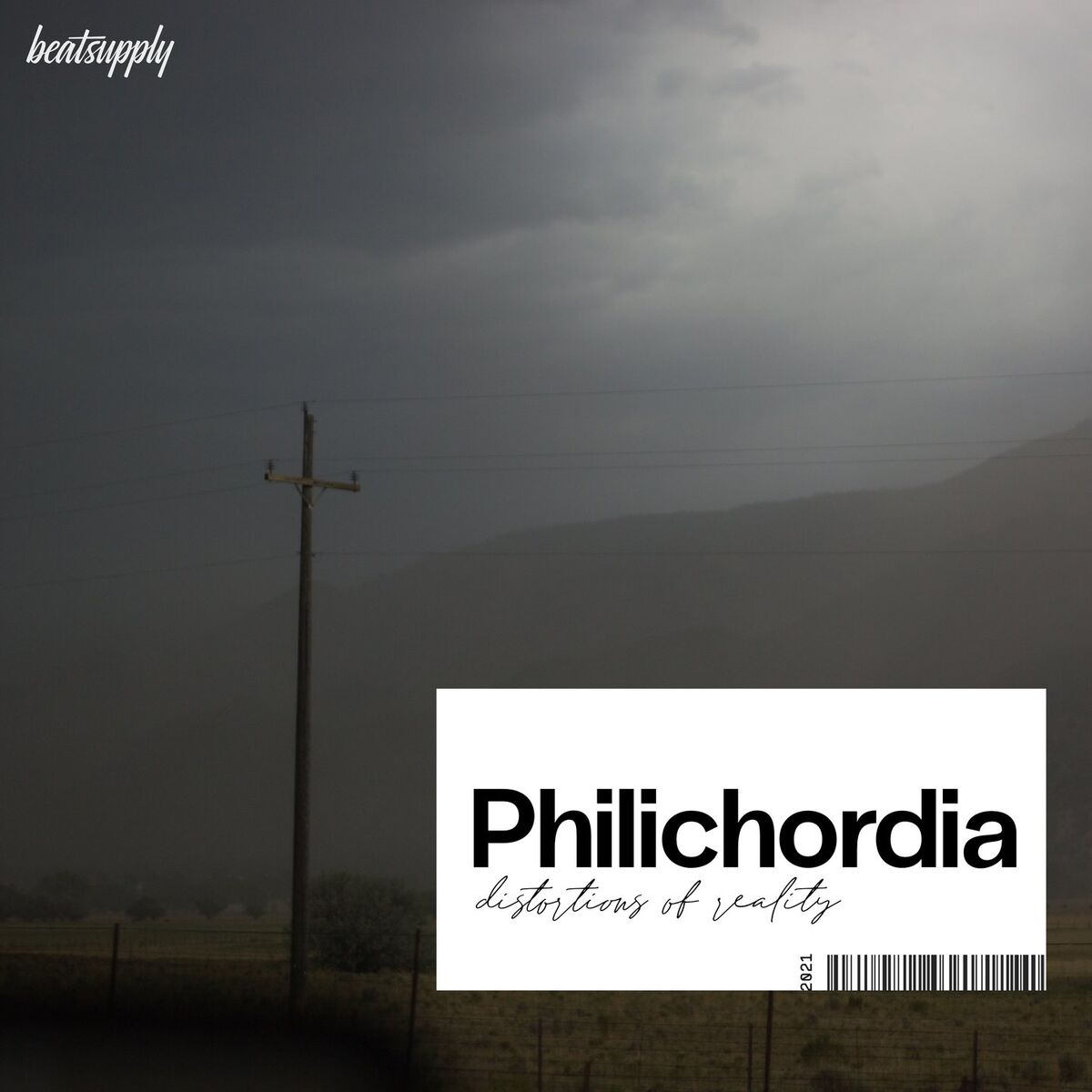 Album cover of Distortions of Reality