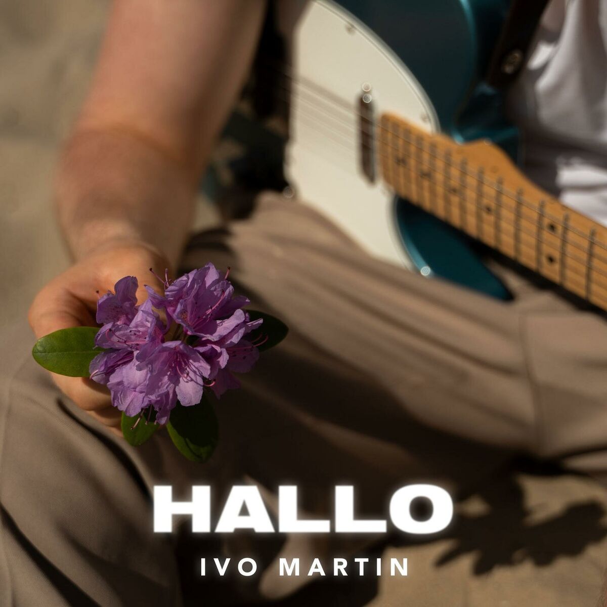Album cover of Hallo