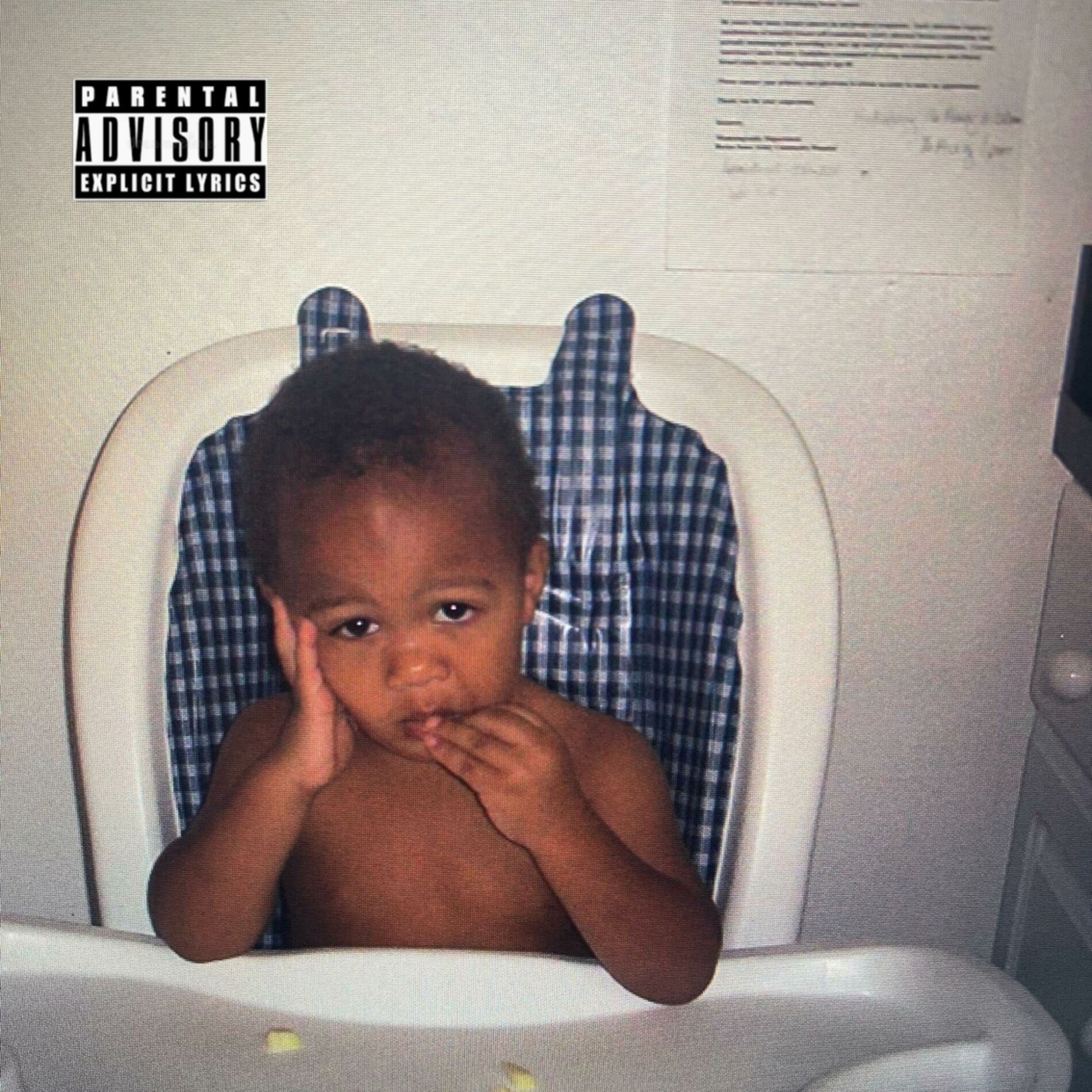Album cover of Disappointed Ideas