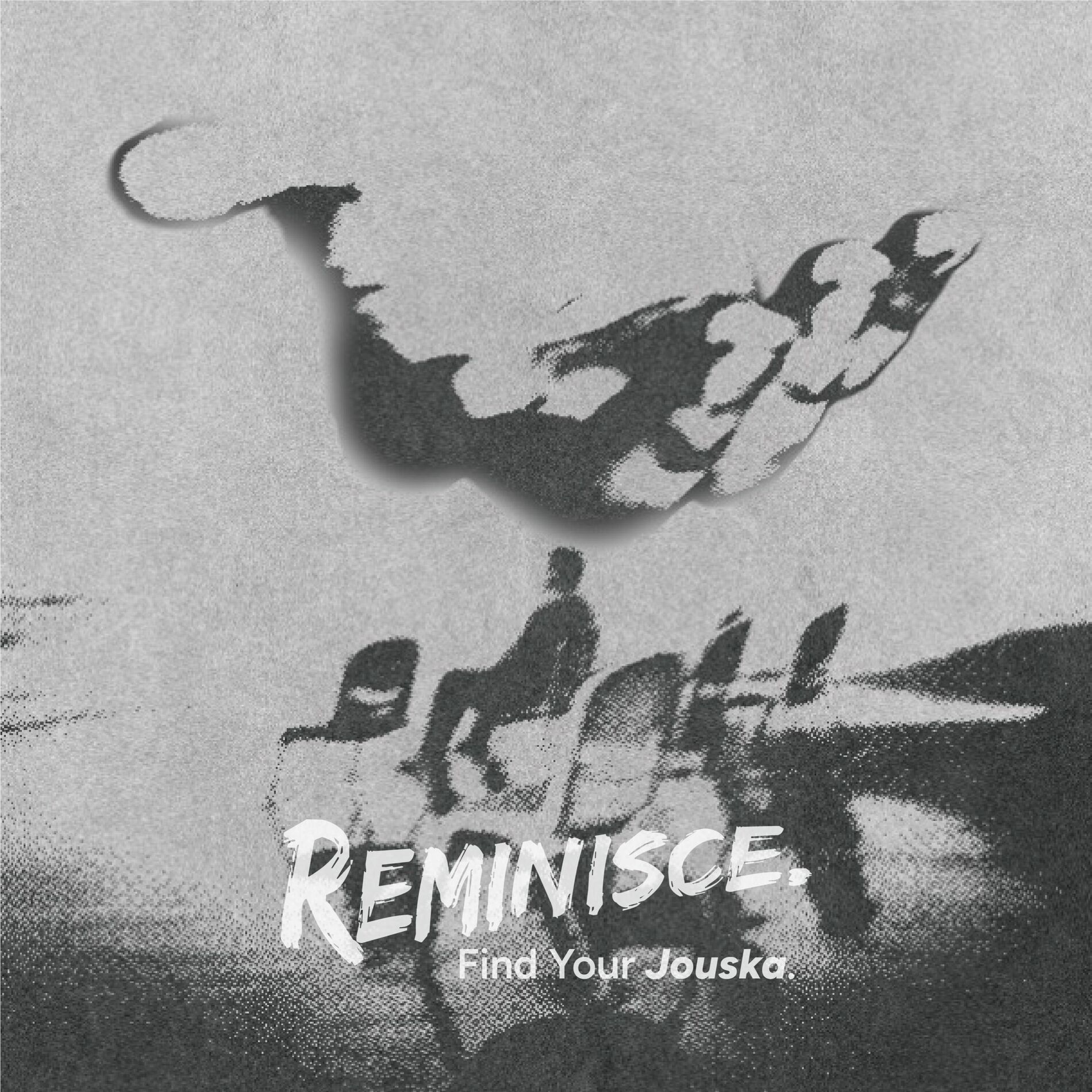 Album cover of Find Your Jouska