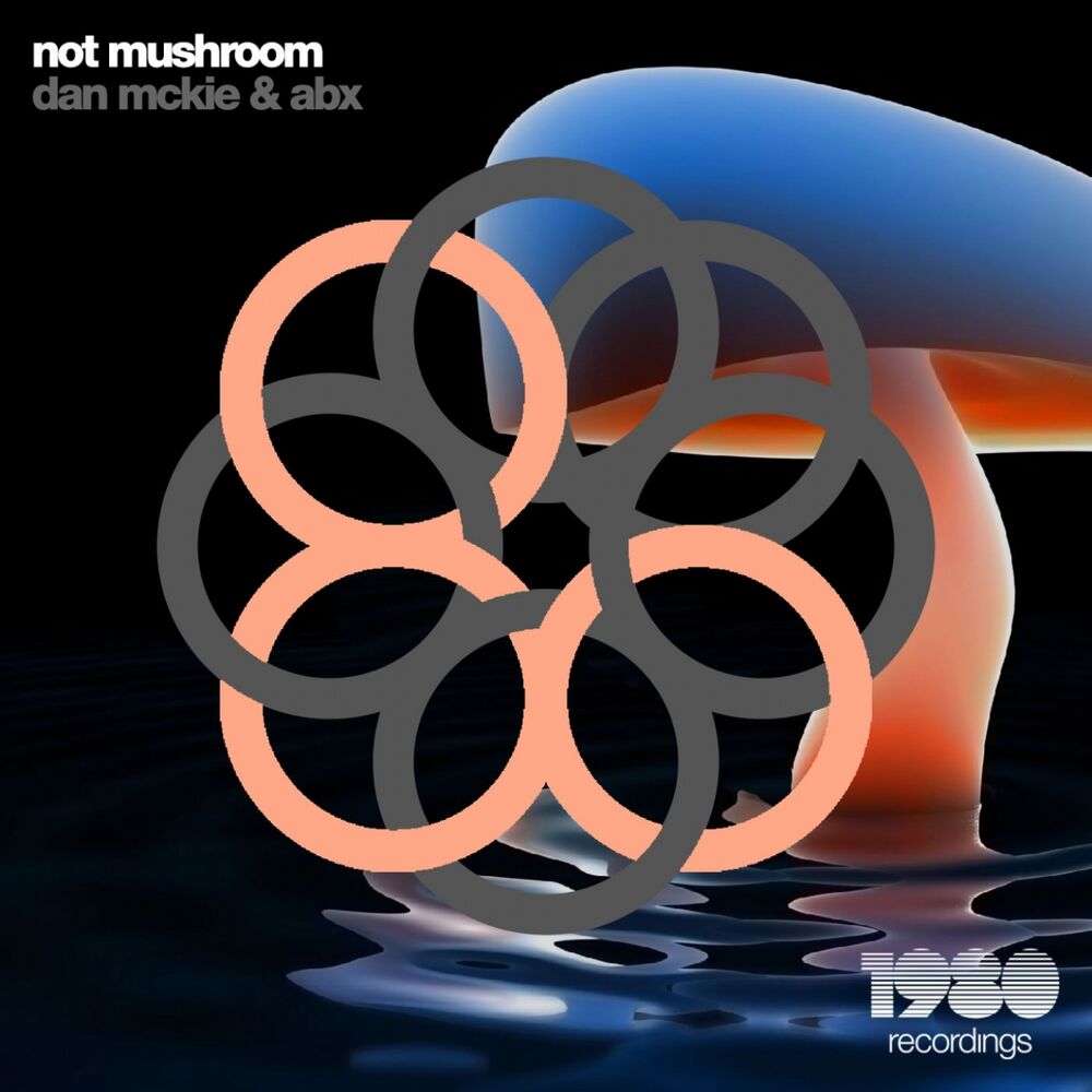 Picture of Not Mushroom
