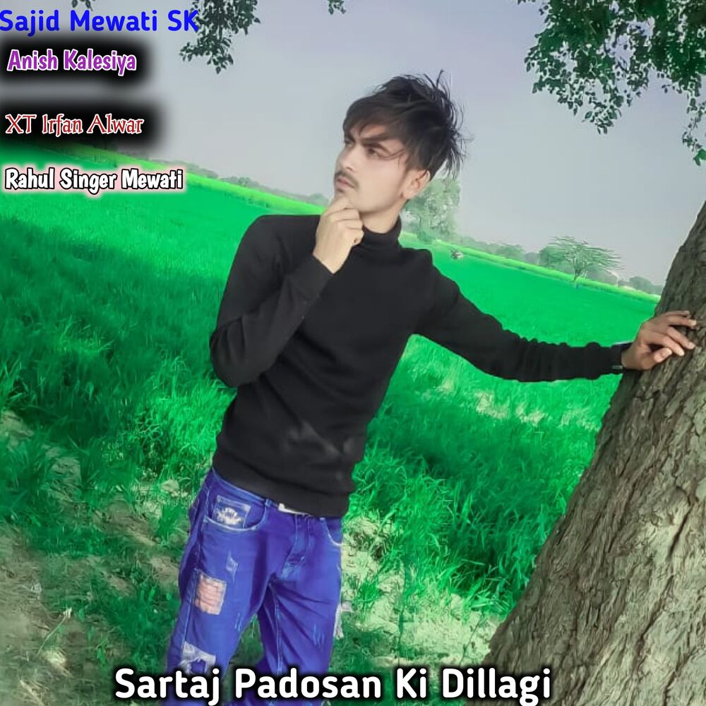 Picture of Sartaj Padosan Ki Dillagi