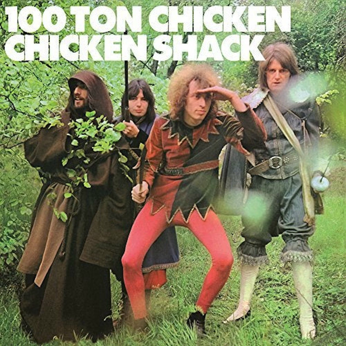 Album cover of 100 Ton Chicken