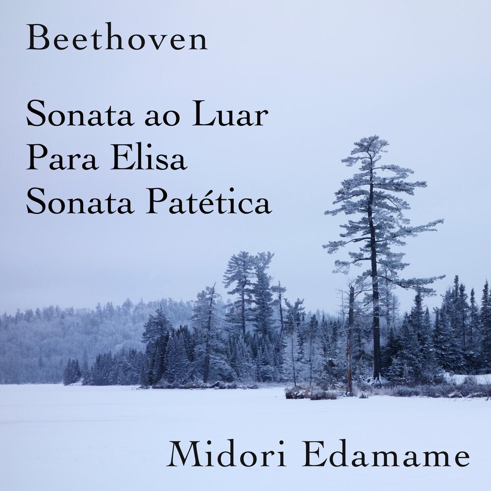 Picture of Beethoven: Sonata ao Luar / Para Elisa / Sonata Patética