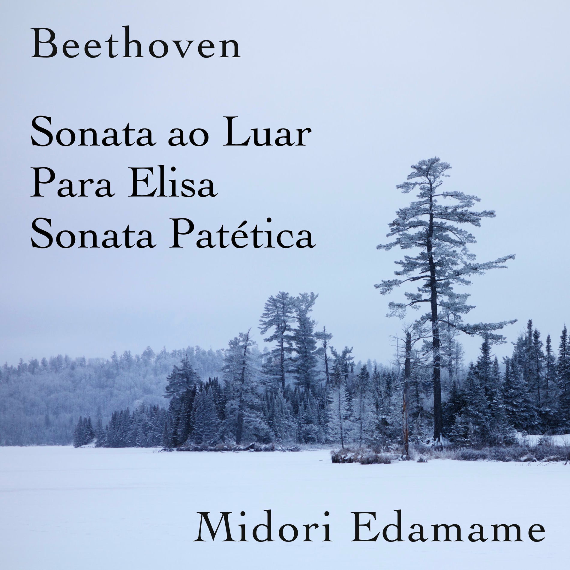 Album cover of Beethoven: Sonata ao Luar / Para Elisa / Sonata Patética