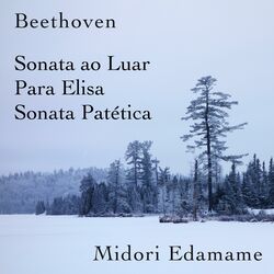 Cover of Beethoven: Sonata ao Luar / Para Elisa / Sonata Patética