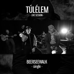 Cover of Túlélem (Live Session)