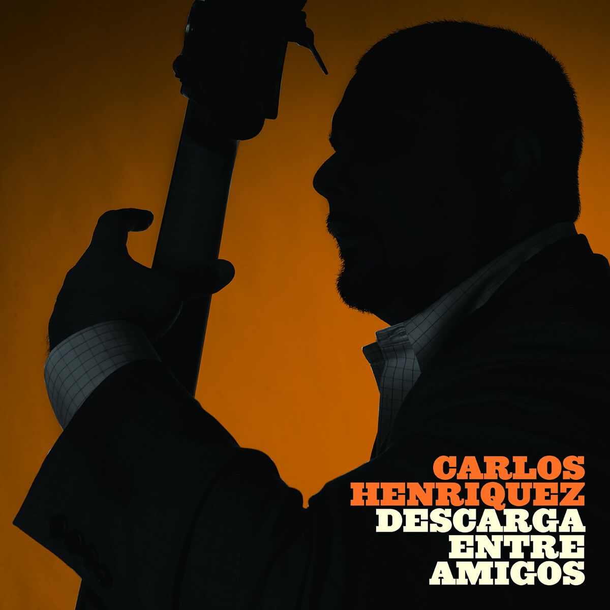 Album cover of Descarga Entre Amigos (feat. Rubén Blades)