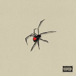 Cover of Insano