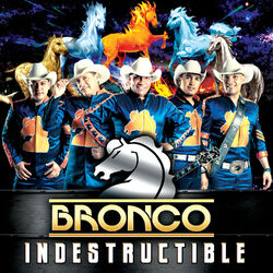 Cover of Indestructible