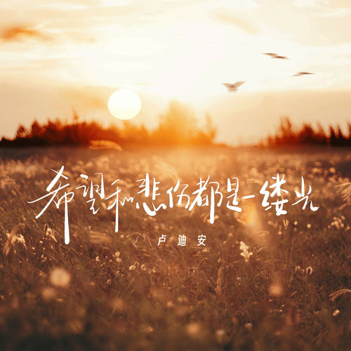 希望和悲伤都是一缕光