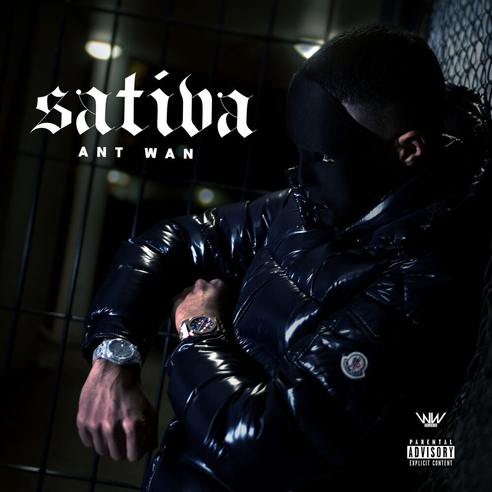 Picture of Sativa