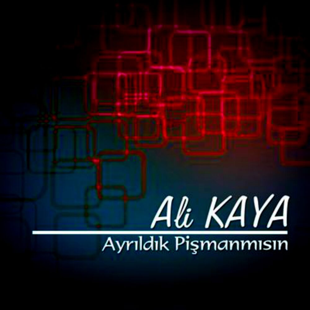 Picture of Ayrıldık Pişman Mısın?