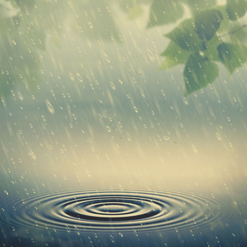 Picture of Droplets of Peace: Serene Rainfall Ambience