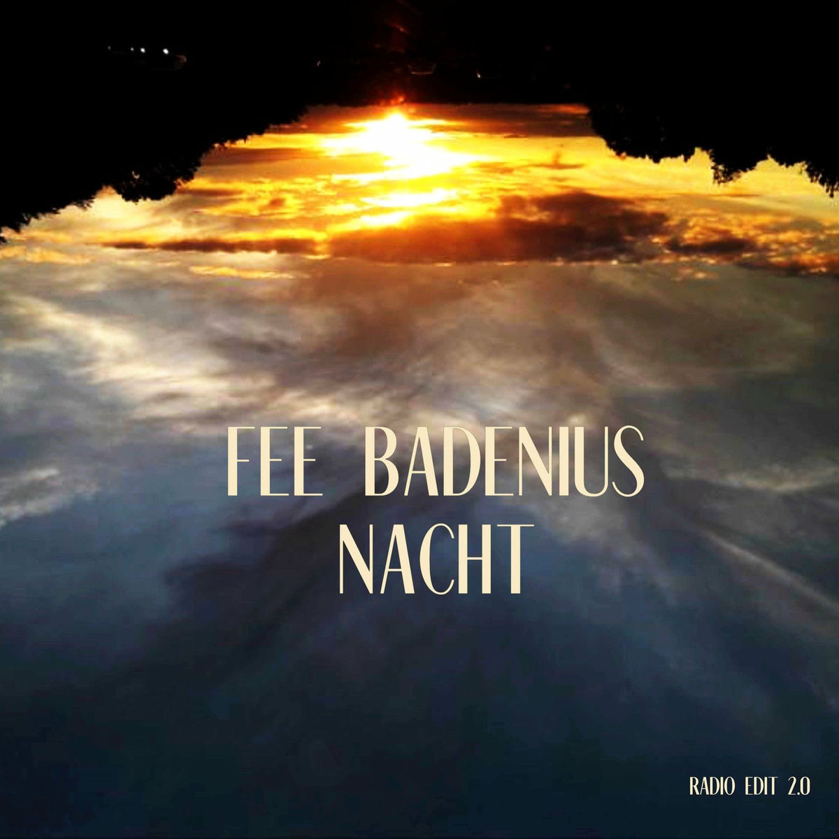 Album cover of Nacht (Radio Edit 2.0)