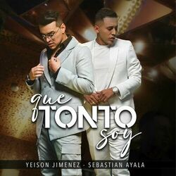 Cover of Que Tonto Soy