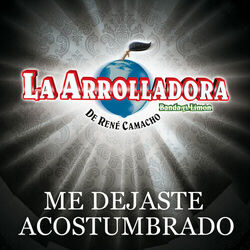 Cover of Me Dejaste Acostumbrado