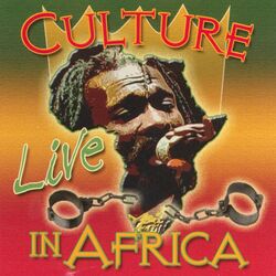 Cover of Live In Africa
