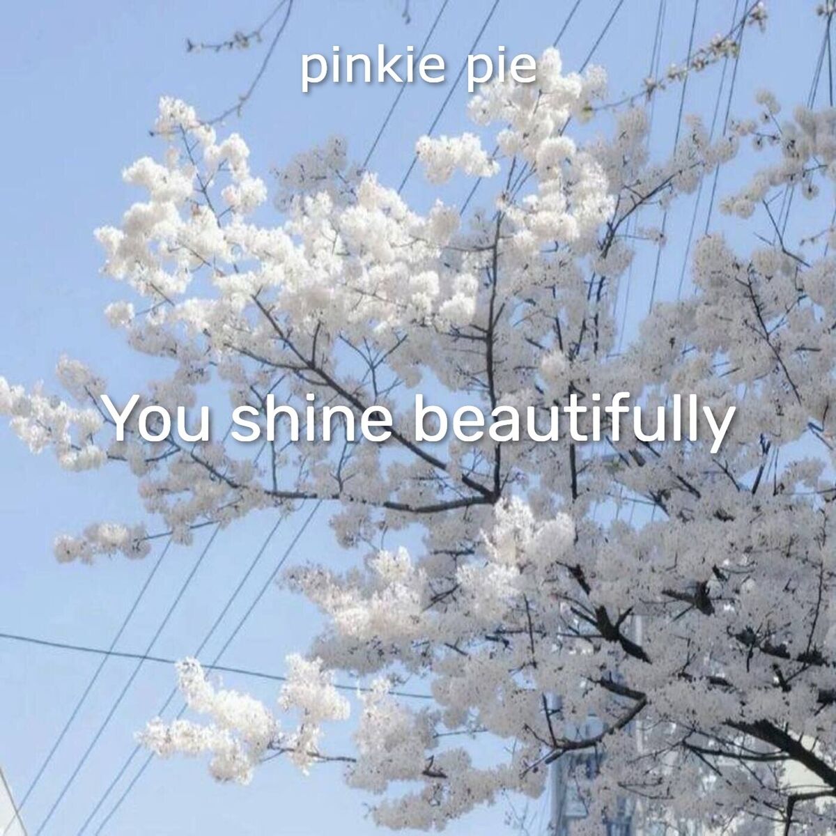 Album cover of You Shine Beautifully