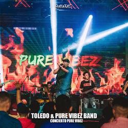 Cover of Concierto Pure Vibez