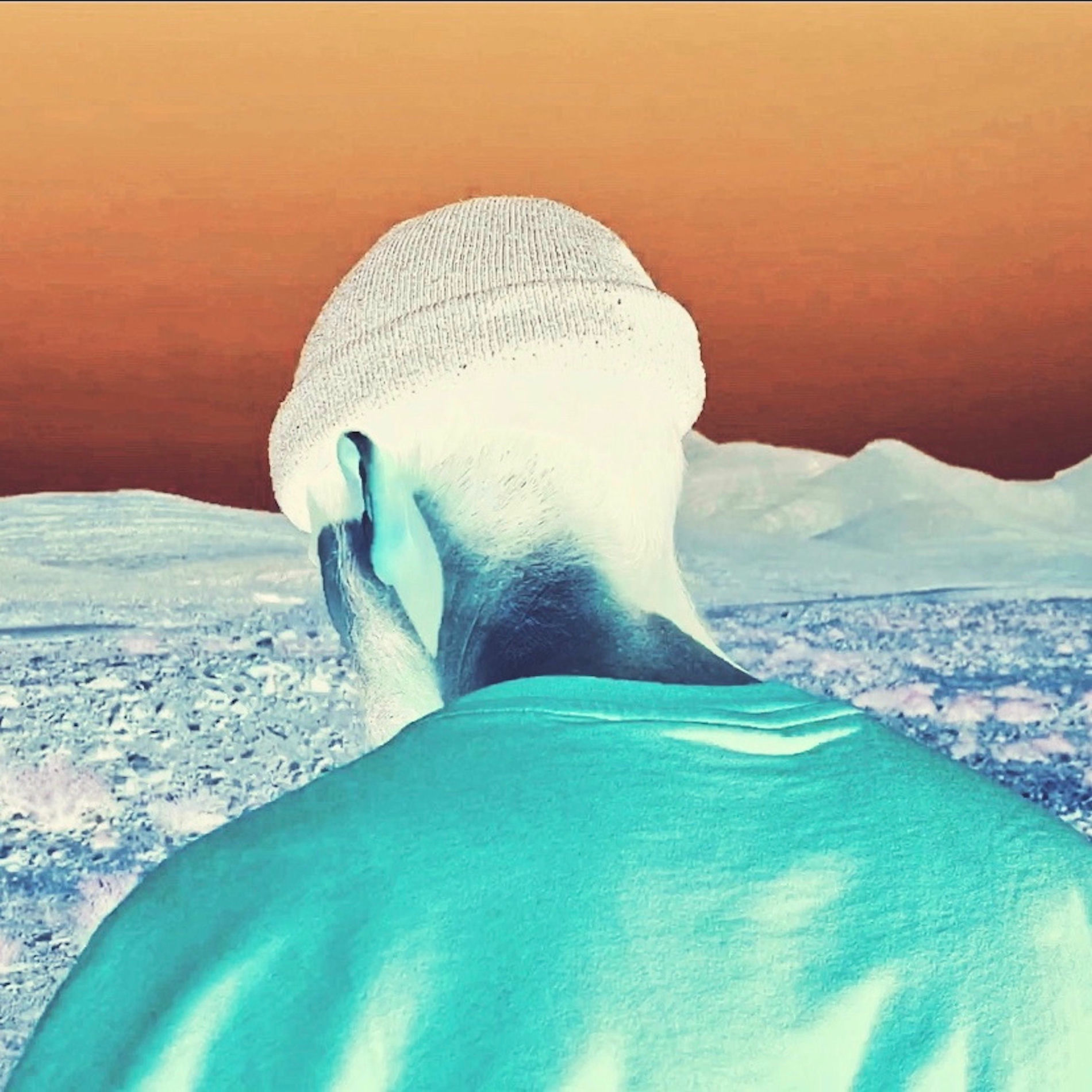 Album cover of Feathers