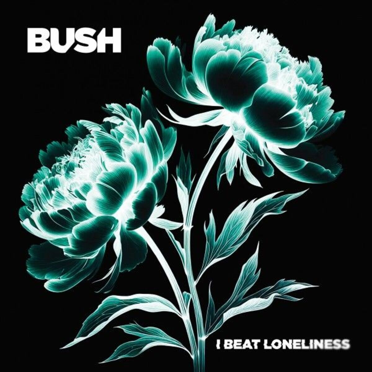 Album cover of I Beat Loneliness