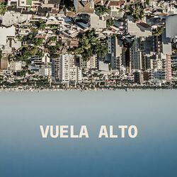 Cover of Vuela Alto