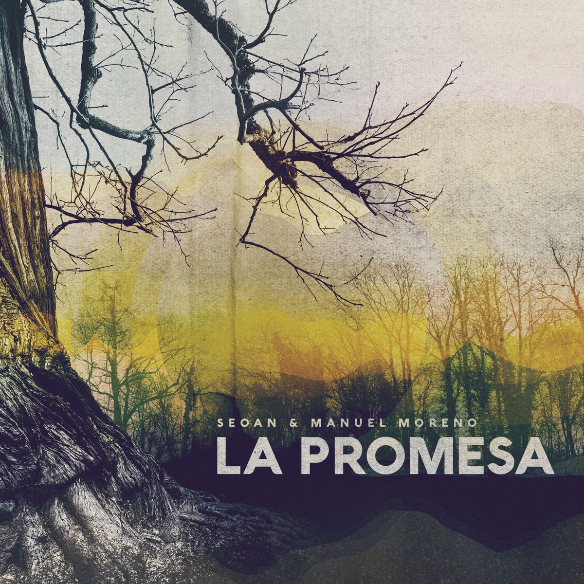 Album cover of La Promesa